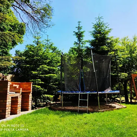 Goscinne Pod Kasztanami Проживание в семье *