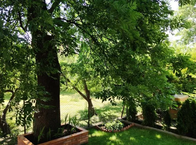 Goscinne Pod Kasztanami